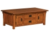 Camden Cabinet Coffee Table-IH