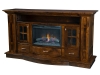 Delgado Fireplace-CS