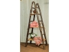 1357-Showcase Ladder-HH