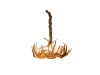 1941-Single Tier Antler Chandelier-HH