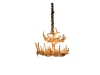 1942-Two Tier Antler Chandelier-HH